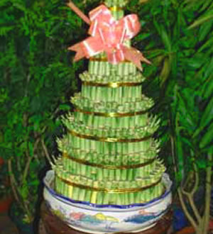 节节高-八层富贵竹