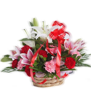 谢谢您的爱-红康、粉康各10枝,3支粉色百合,1支白色百合