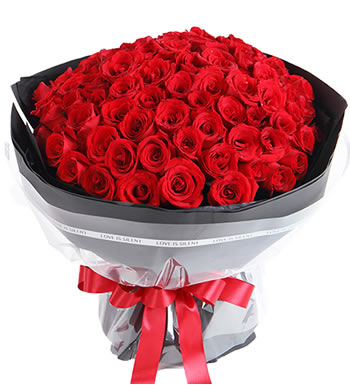 不变的承诺-99枝红玫瑰