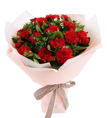 幸福的记忆-红色康乃馨16枝