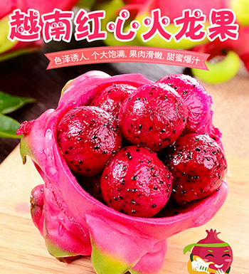 越南红心火龙果-红心果肉
