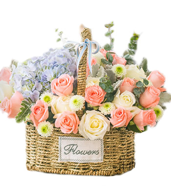 感恩有你-戴安娜玫瑰,香槟玫瑰,绣球