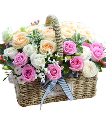 浪漫物语-香槟玫瑰 白玫瑰 苏醒玫瑰