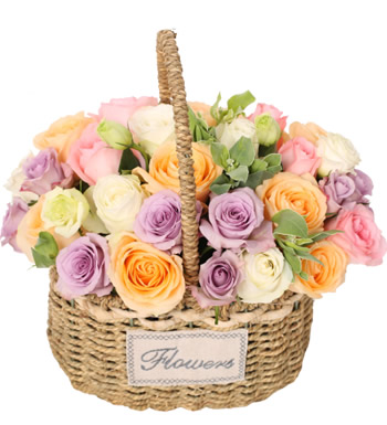 贤良淑德-各色玫瑰