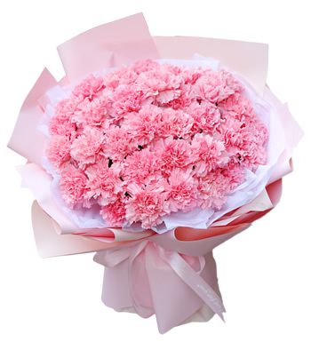 时光不老-33支粉色康乃馨