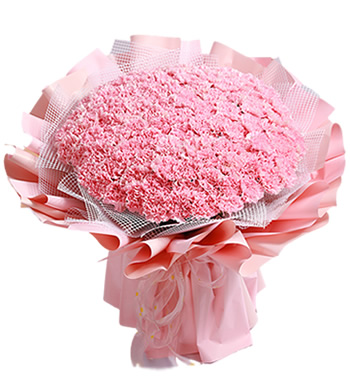 伟大的母爱-99支粉色康乃馨