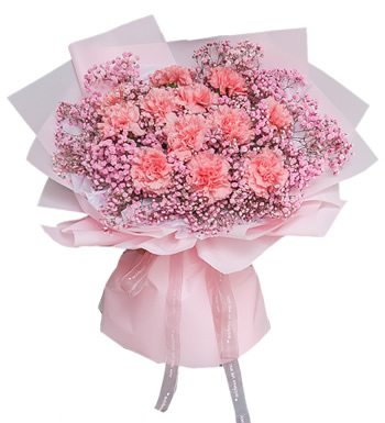 青春永驻-16支粉色康乃馨