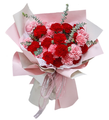 无私的母爱-粉色康乃馨 红色康乃馨