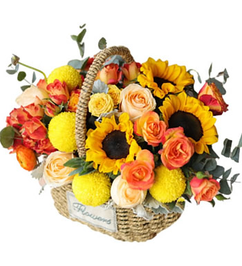 一米阳光-香槟玫瑰 向日葵 泡泡玫瑰