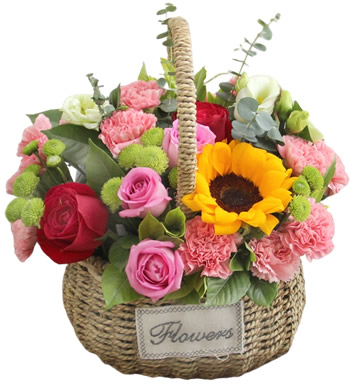 美好生活-粉色康乃馨 玫瑰 向日葵