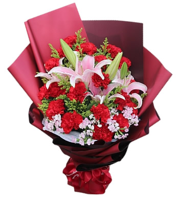 妈妈,我爱你!-红色康乃馨 粉色多头百合