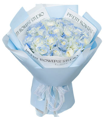挚爱深情-33枝碎冰蓝玫瑰