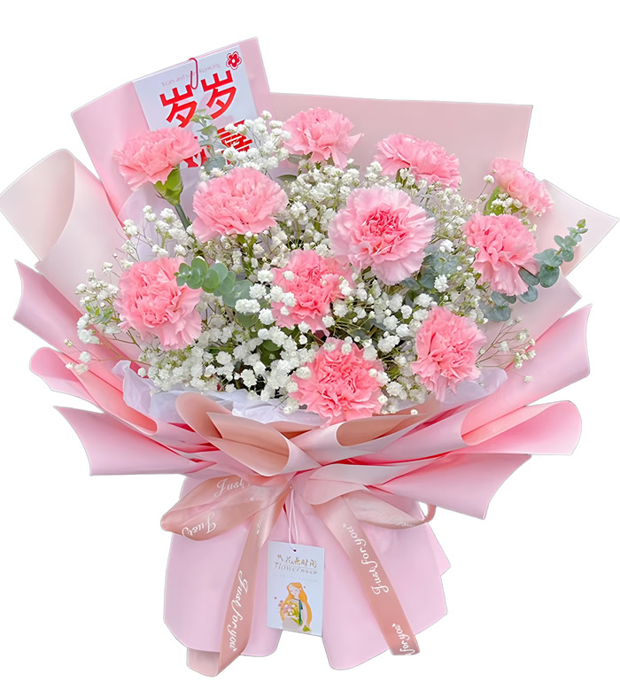 母亲节快乐-11粉色康乃馨小花束