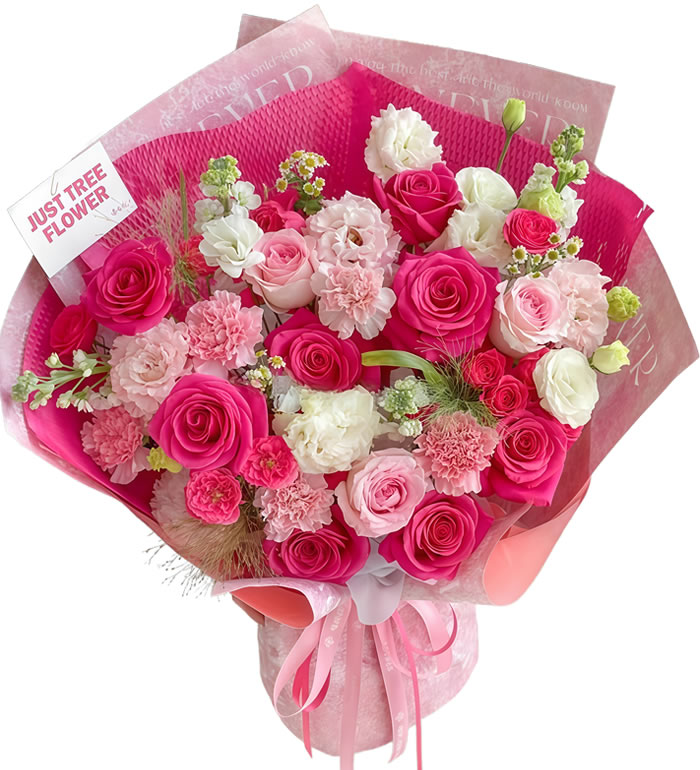 春风十里-粉玫瑰 粉康