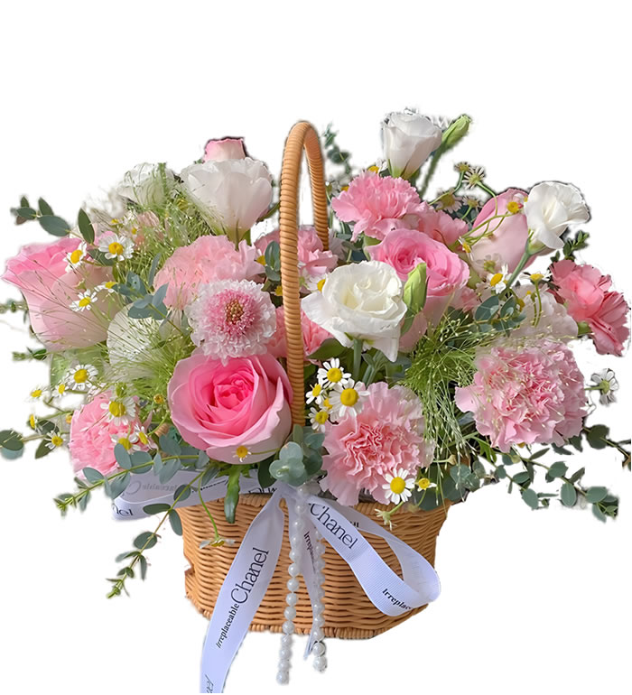 温柔以待-粉玫瑰粉康小号花篮