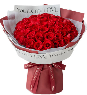 你是我的唯一-52枝红玫瑰