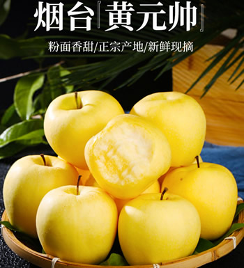 黄金帅粉面苹果-粉面香甜 果肉细沙棉密