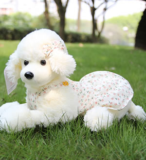 贵宾犬 可爱穿衣狗狗-70cm