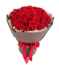 热恋 - 红玫瑰50枝，满天星围绕一周