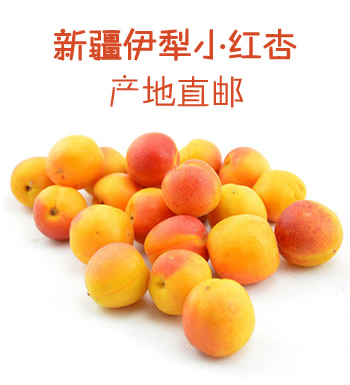 新疆伊犁小红杏-产地直邮，净重3.6斤
