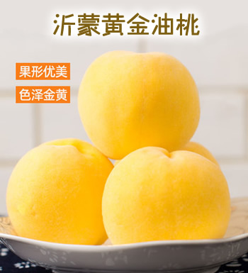 祁蒙黄金油桃-果园直供 约5斤