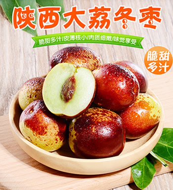 冬枣-脆甜多汁 5斤装