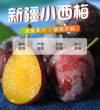 新疆小西梅-好评如潮，吃过都说好