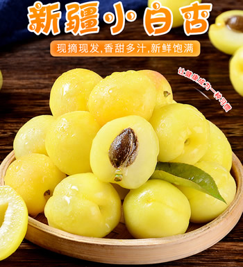 新疆小白杏（预售6月5号后发货）-初恋般的甜蜜
