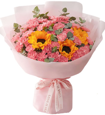 幸福像花儿一样-粉色康乃馨33枝、向日葵3枝