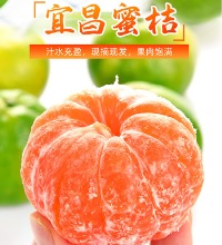 农家蜜桔 9斤 - 酸甜爽口 皮薄多汁