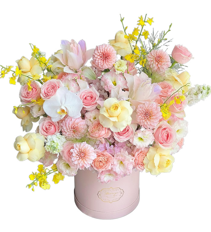 花园的芬芳-玫瑰蝴蝶兰抱抱花筒