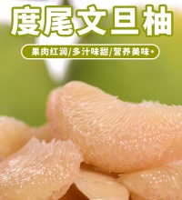 福建名柚 度尾文旦柚 - 酸甜可口 肉质细腻