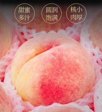 四川龙泉驿水蜜桃 - 精品大果 水润多汁 产地直供