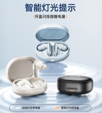 飞利浦（PHILIPS）无线蓝牙耳机 - 主动降噪入耳式