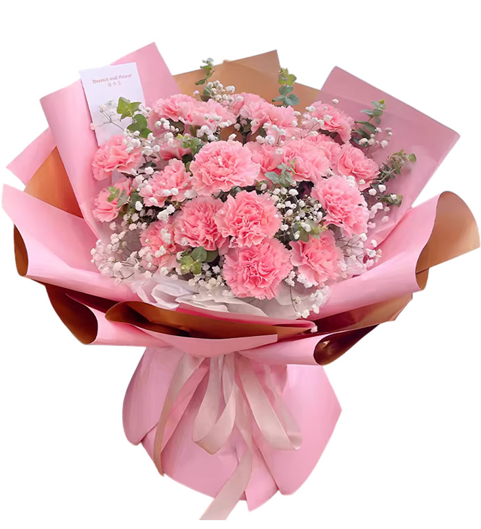 感恩妈妈-康乃馨花束