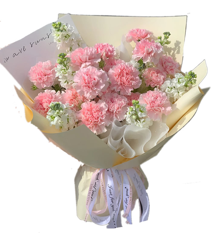 恩深情重-康乃馨紫罗兰花束