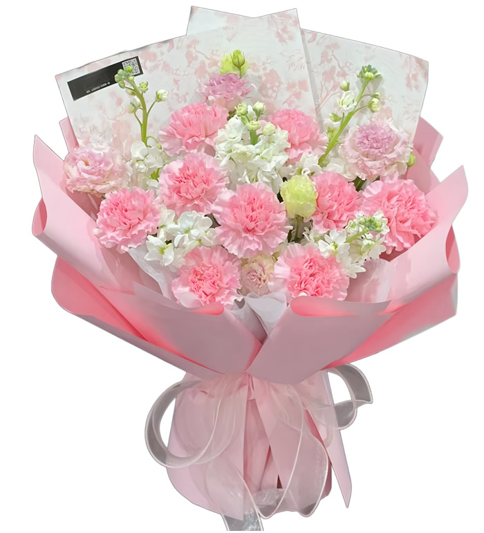 璀璨-粉色康乃馨 紫罗兰花束