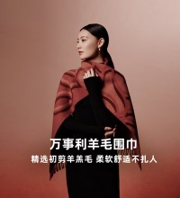 100%绵羊毛围巾 - 多色可选 新年礼物