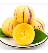 云南石林人参果 - 精选A级圆果