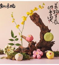 知味观 花形糕点 - 7盒11味