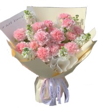 恩深情重 - 康乃馨紫罗兰花束