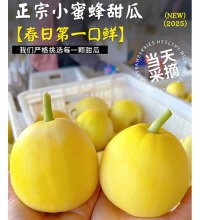 小蜜蜂甜瓜 - 脆嫩多汁 香气浓郁