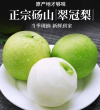 砀山翠冠梨 - 脆甜多汁