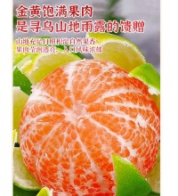 寻乌蜜桔 - 酸甜爽口 皮薄多汁